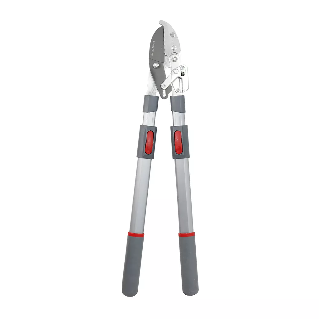 Telescopic Ratchet Anvil Loppers