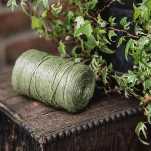 Kent & Stowe Poly Green Twine lifestyle