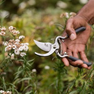 kent and stowe traditional bypass secateurs in use