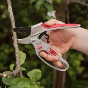 ratchet secateurs