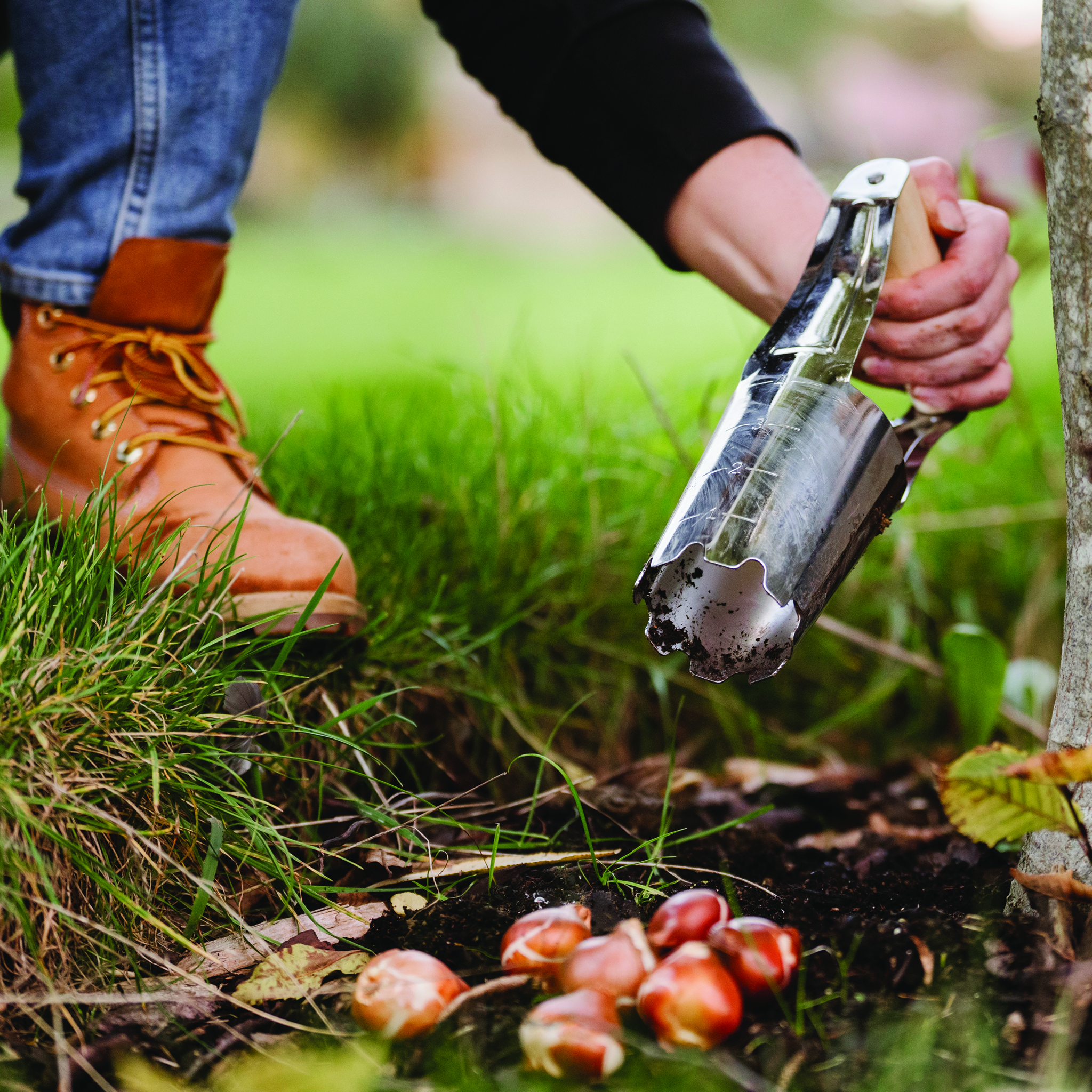 kent and stowe hand bulb planter in use