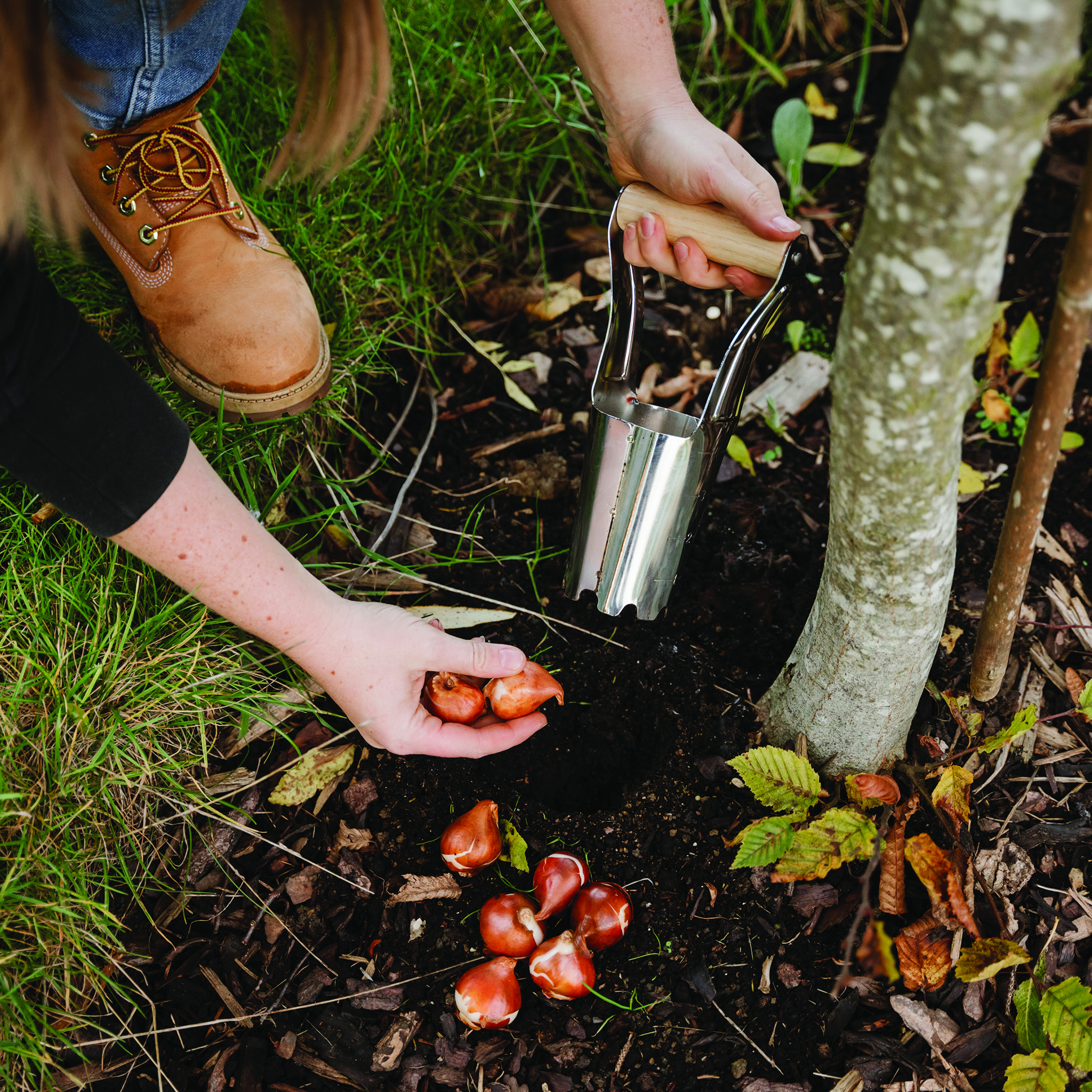 kent and stowe hand bulb planter in use