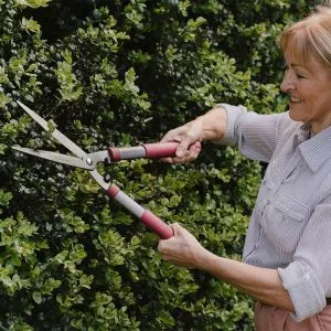 ks garden life hedge shears