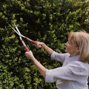 ks garden life hedge shears