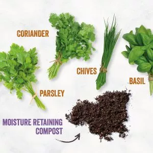 homegrown kitchen herb kit diagram