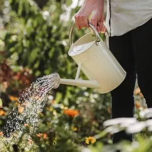 4.5l cream watering can