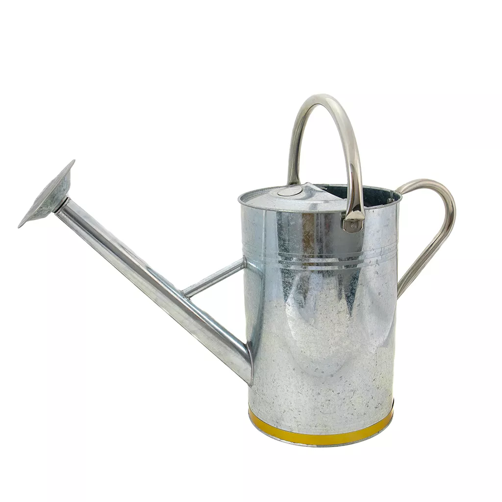 Kent & Stowe 9L Galvanised Metal Watering Can