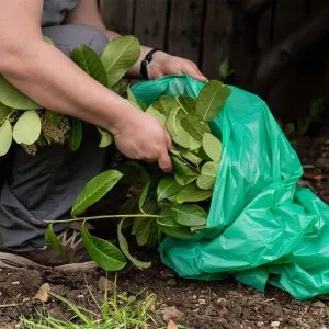 Garden Rubbish Sacks in use