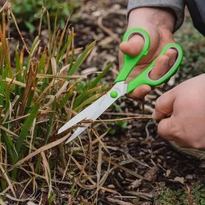 Home & Garden Scissors in use