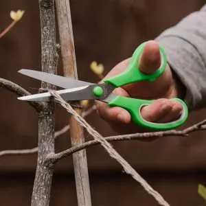 Home & Garden Scissors in use