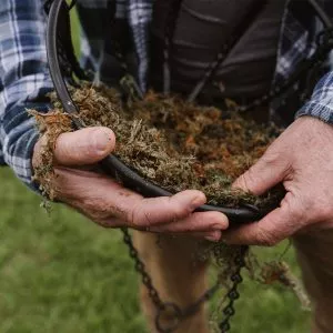 Fresh Sphagnum Moss lined in basket