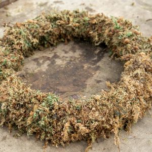 large sphagnum moss wreath