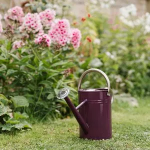deep violet 4.5l kent and stowe watering can