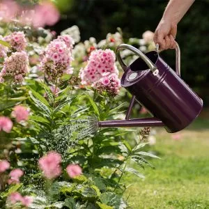 deep violet 4.5l kent and stowe watering can