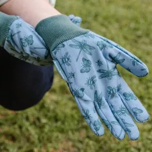 Jersey Cotton Gloves Triple Pack blue
