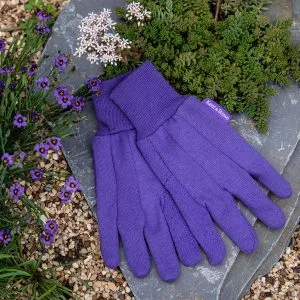 Purple Cotton Gloves