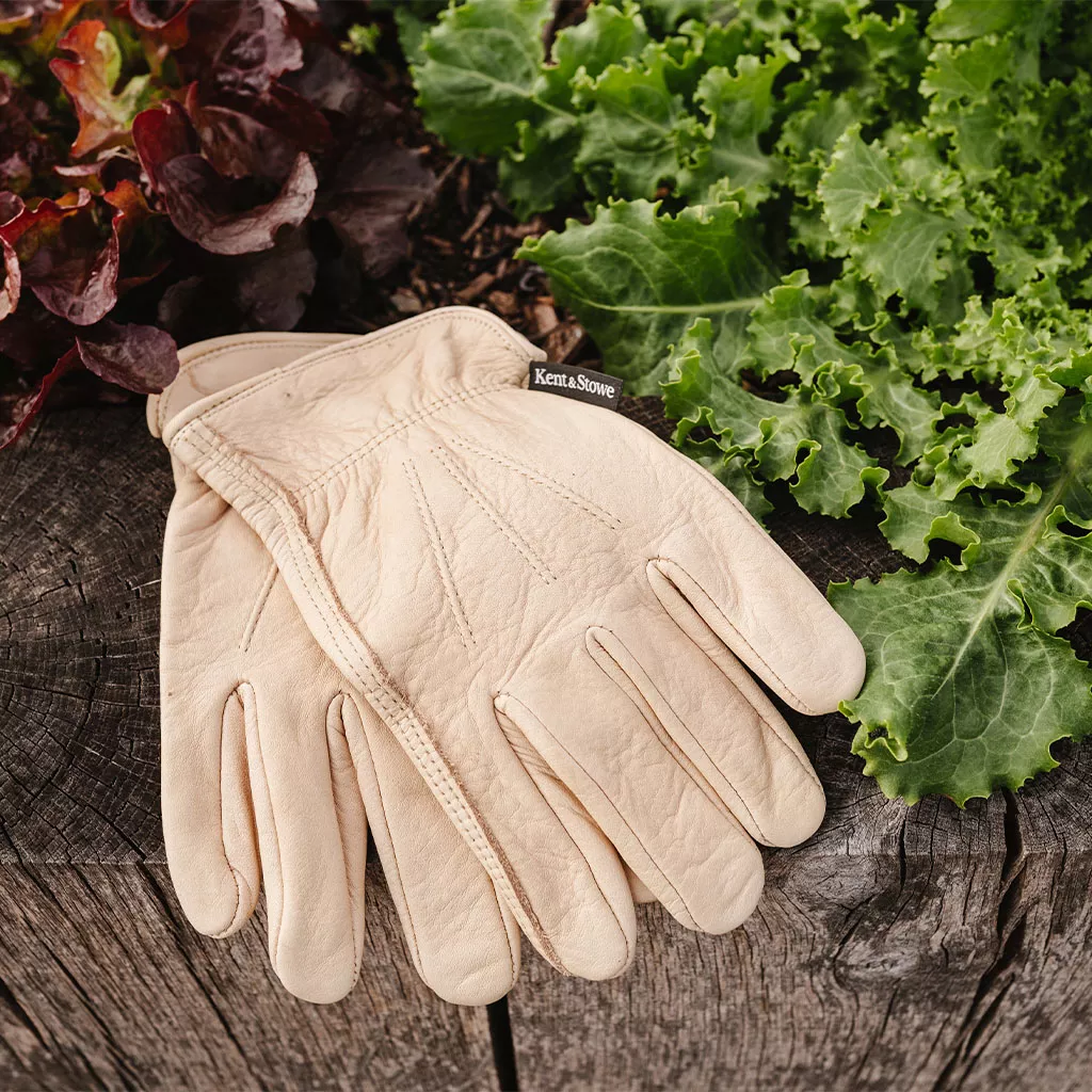 luxury leather water resistant gloves