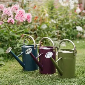 deep violet 4.5l kent and stowe watering can