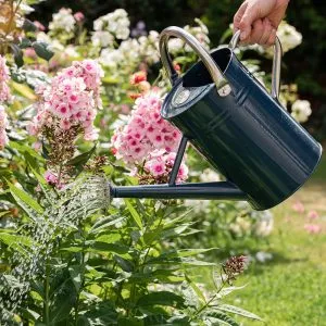 midnight blue 4.5l kent and stowe watering can