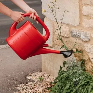 red watering can flopro