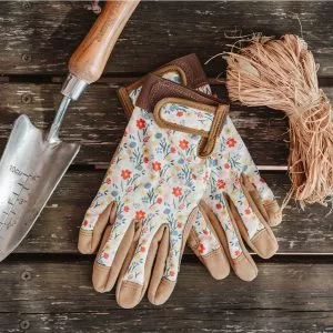 Cream Premium Comfort Gloves