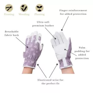 Purple Flutter Bugs Leather Gloves