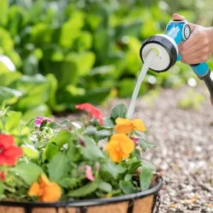 flopro softflo advanced gun watering