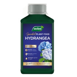 Specialist-Hydrangea-Food-CUT out