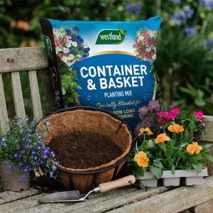 container and basket planting mix