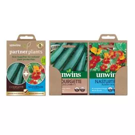 Unwins Partner Plants Courgette & Nasturtium