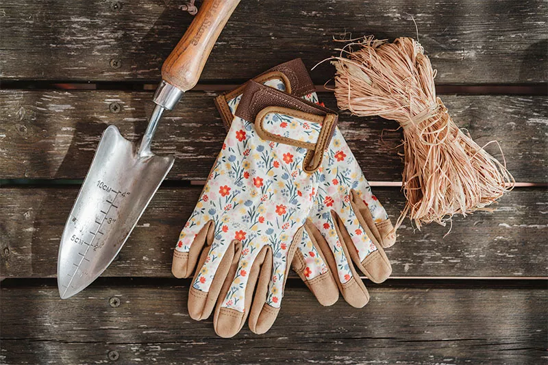 how to care for roses: gloves, trowel and twine