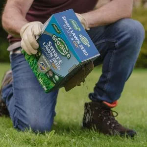 Gro-sure Smart Lawn Seed Shady & Dry Areas in use