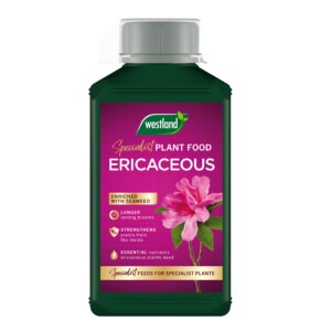 westland ericaceous plant feed