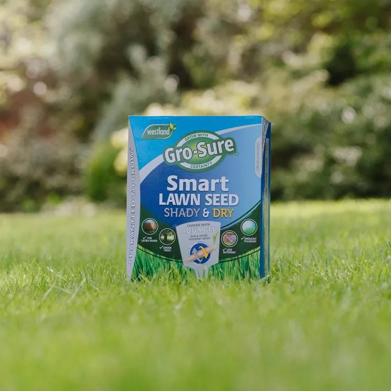 Gro-sure Smart Lawn Seed Shady & Dry Areas on lawn