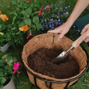 container and basket compost