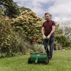 lawn spreader in use