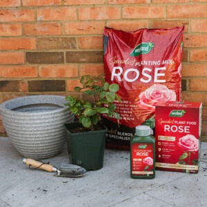 rose specialist planting mix next to rose liquid feed and granules