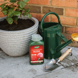 rose liquid plant feed next to watering can