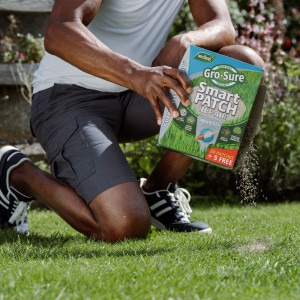 westland gro sure smart patch spreader box