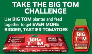 big tom peat free planter and feed