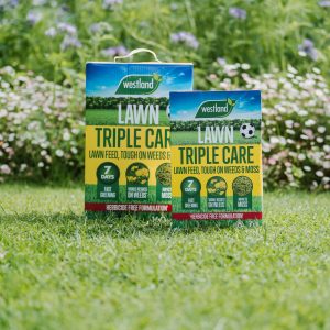 westland triple care lawn feed 80m2 160m2 on grass