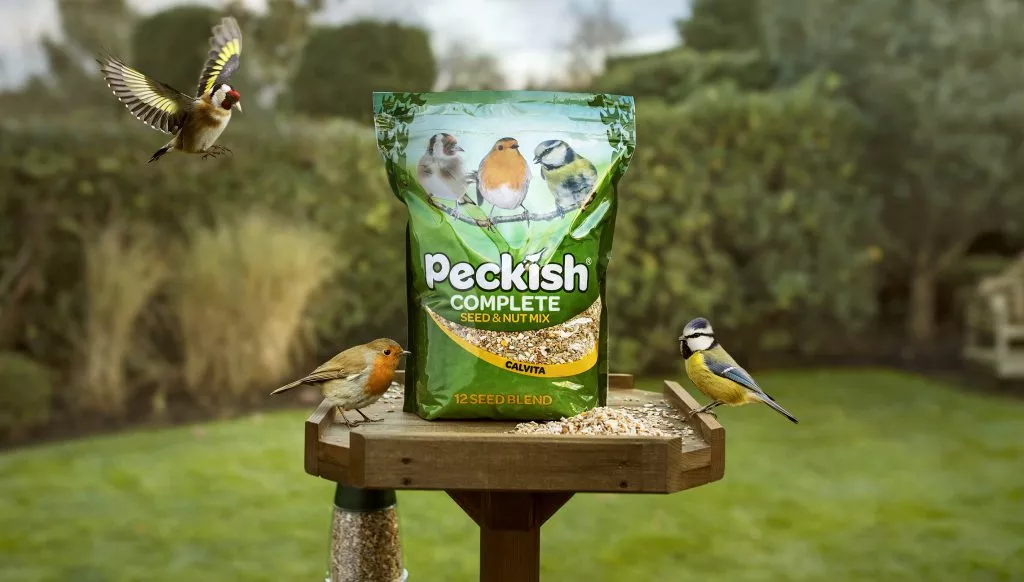 Peckish bag on bird table