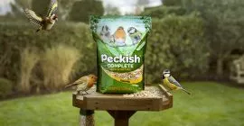 Peckish bag on bird table