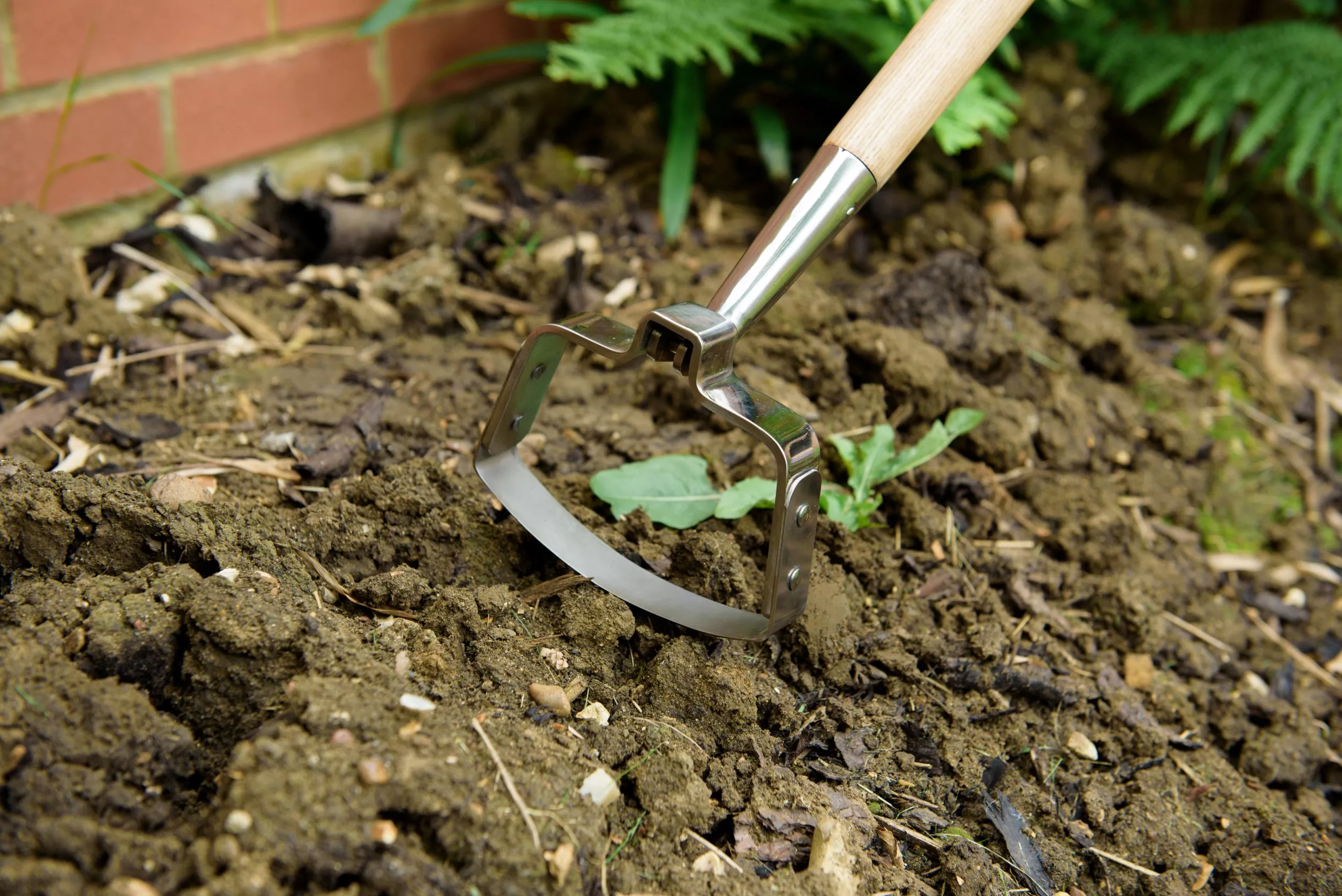 kent & stowe oscillating hoe in use - autumn gardening