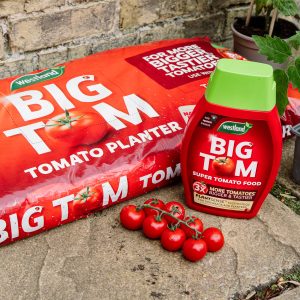 big tom tomato planter and tomato food