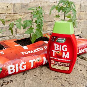 big tom tomato planter and tomato food