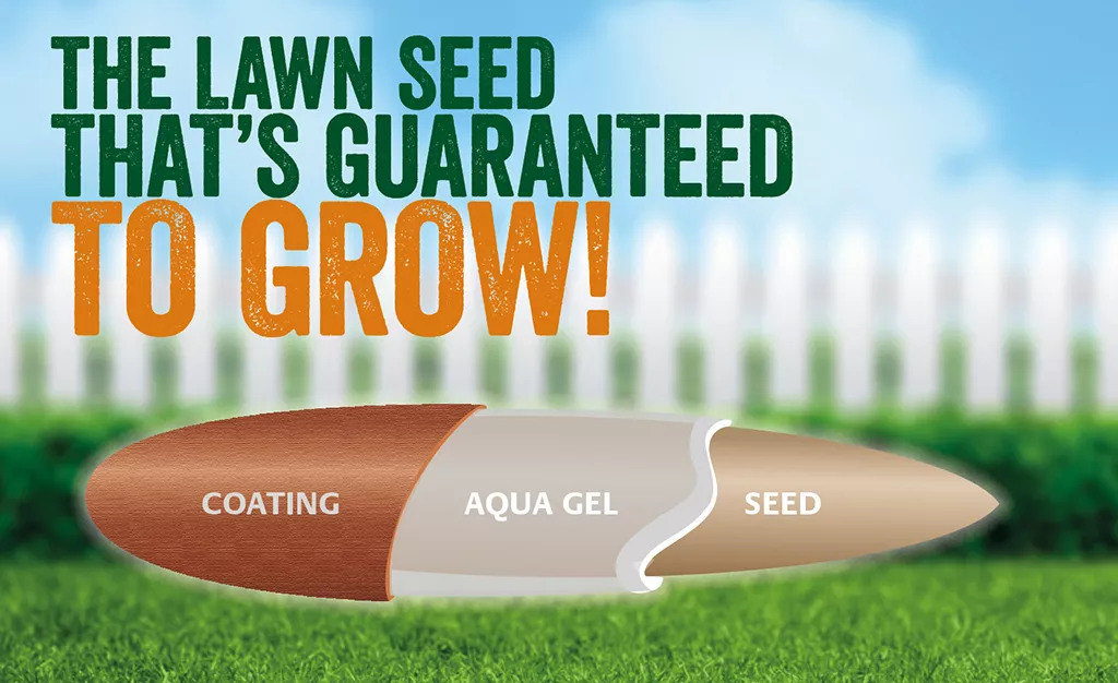 Gro-Sure Smart Lawn Seed