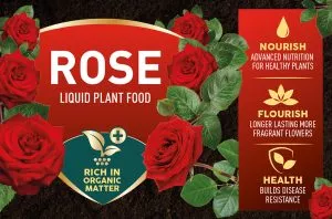 rose feed info