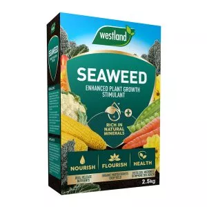 Seaweed Enhanced box