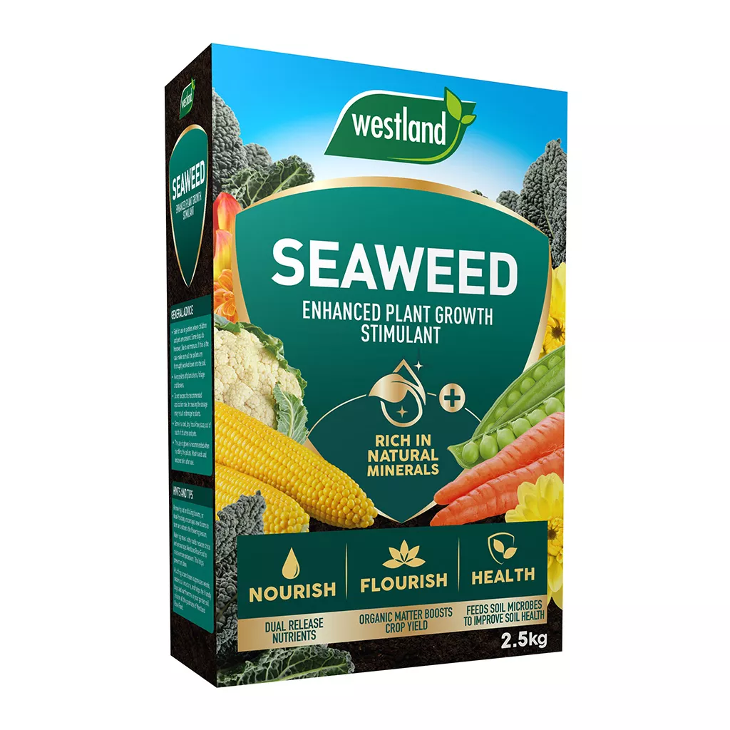 Seaweed Enhanced box